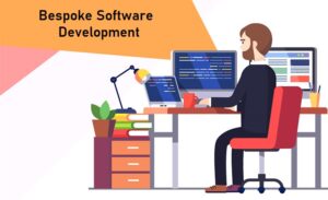 What is Bespoke Software